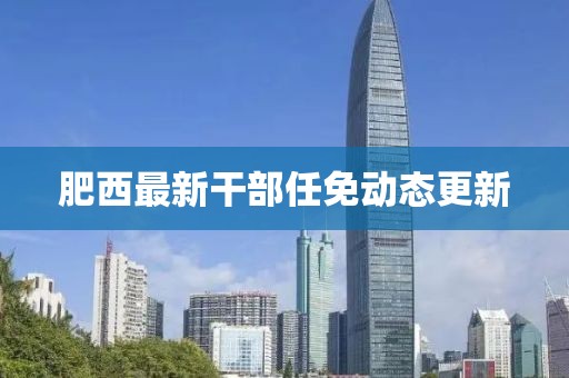 肥西最新干部任免动态更新