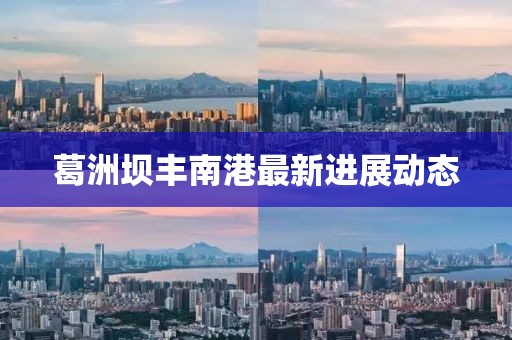 葛洲坝丰南港最新进展动态