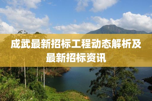 成武最新招标工程动态解析及最新招标资讯
