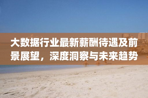 大数据行业最新薪酬待遇及前景展望，深度洞察与未来趋势