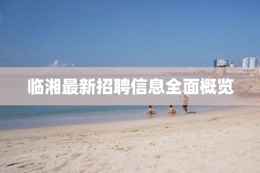 临湘最新招聘信息全面概览