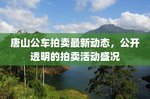 唐山公车拍卖最新动态，公开透明的拍卖活动盛况