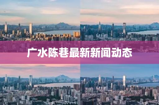 广水陈巷最新新闻动态