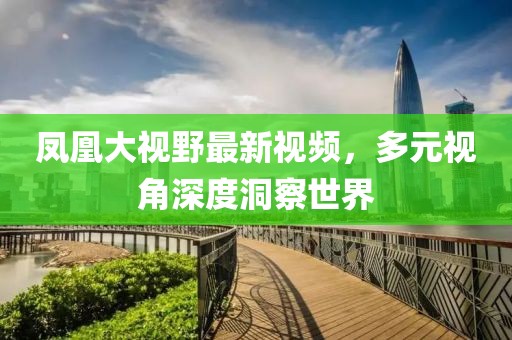 凤凰大视野最新视频，多元视角深度洞察世界