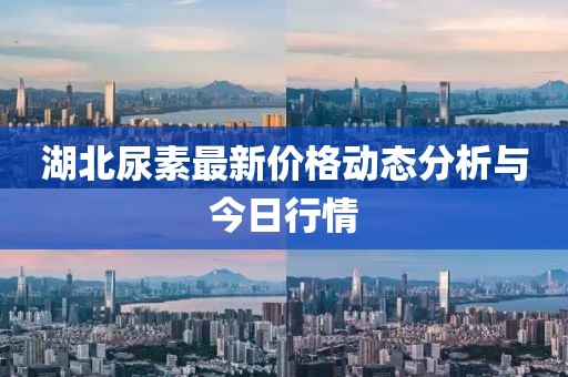 尽是敷衍 第5页