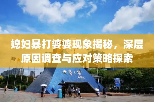 媳妇暴打婆婆现象揭秘，深层原因调查与应对策略探索