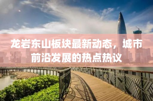 龙岩东山板块最新动态，城市前沿发展的热点热议