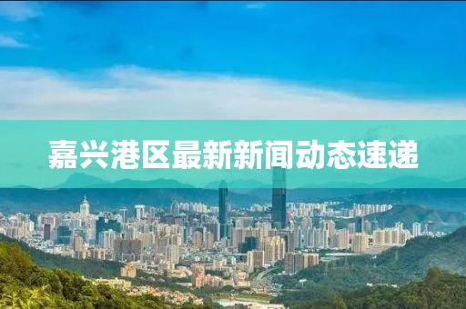 嘉兴港区最新新闻动态速递