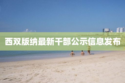 西双版纳最新干部公示信息发布