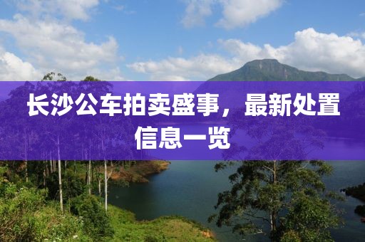 长沙公车拍卖盛事，最新处置信息一览