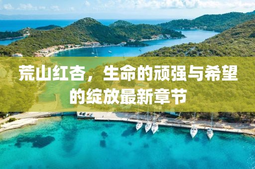 荒山红杏，生命的顽强与希望的绽放最新章节