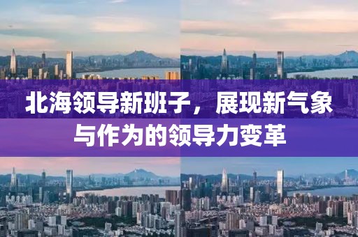 北海领导新班子，展现新气象与作为的领导力变革