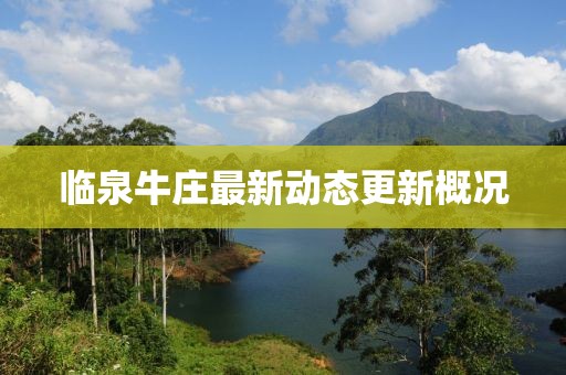 临泉牛庄最新动态更新概况