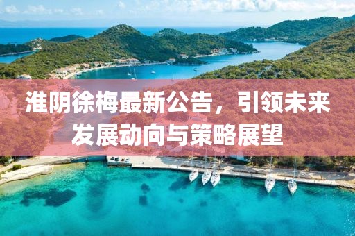 淮阴徐梅最新公告，引领未来发展动向与策略展望
