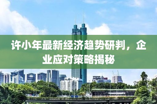 许小年最新经济趋势研判，企业应对策略揭秘