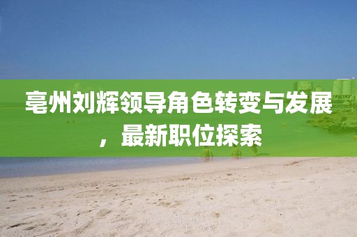 亳州刘辉领导角色转变与发展，最新职位探索