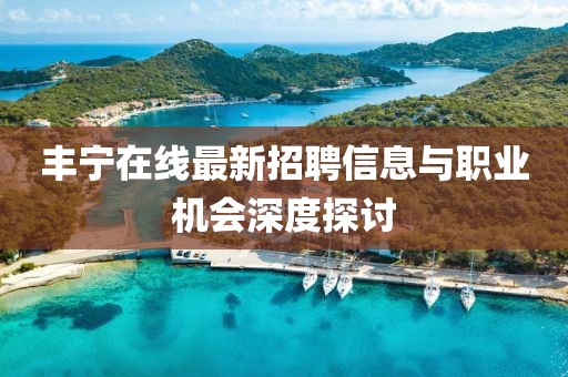 丰宁在线最新招聘信息与职业机会深度探讨