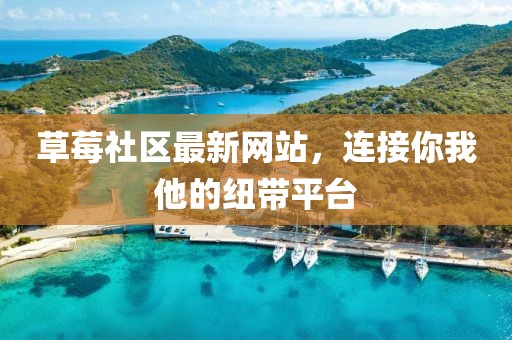 草莓社区最新网站，连接你我他的纽带平台