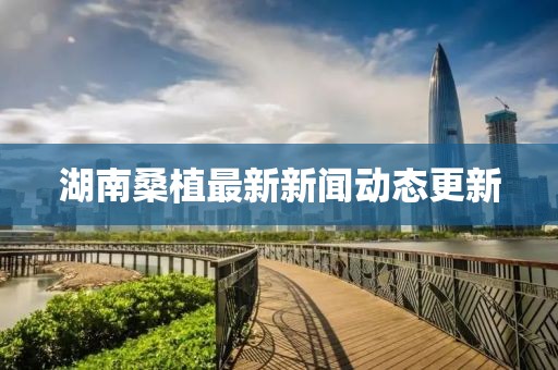 湖南桑植最新新闻动态更新
