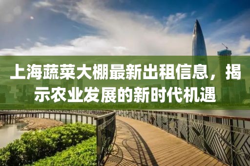 上海蔬菜大棚最新出租信息，揭示农业发展的新时代机遇