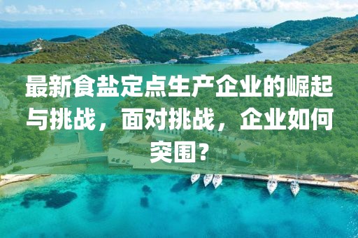 最新食盐定点生产企业的崛起与挑战，面对挑战，企业如何突围？