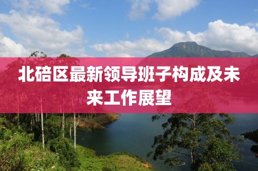 北碚区最新领导班子构成及未来工作展望