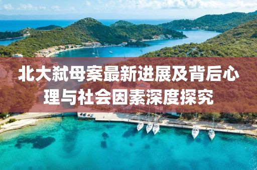 北大弑母案最新进展及背后心理与社会因素深度探究