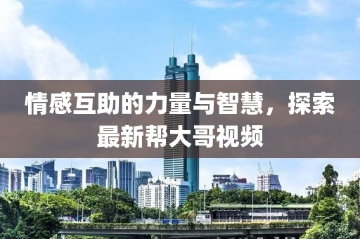 情感互助的力量与智慧，探索最新帮大哥视频