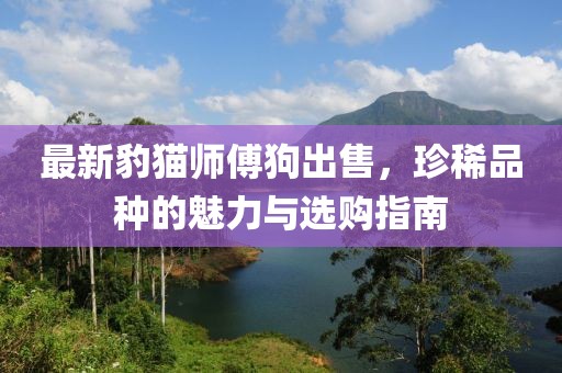 最新豹猫师傅狗出售，珍稀品种的魅力与选购指南