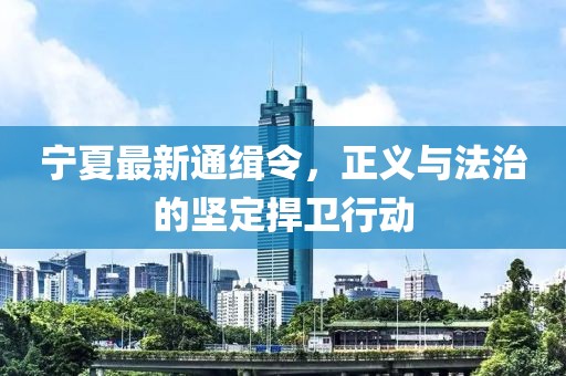 宁夏最新通缉令，正义与法治的坚定捍卫行动