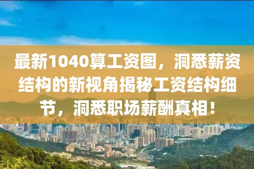 最新1040算工资图，洞悉薪资结构的新视角揭秘工资结构细节，洞悉职场薪酬真相！