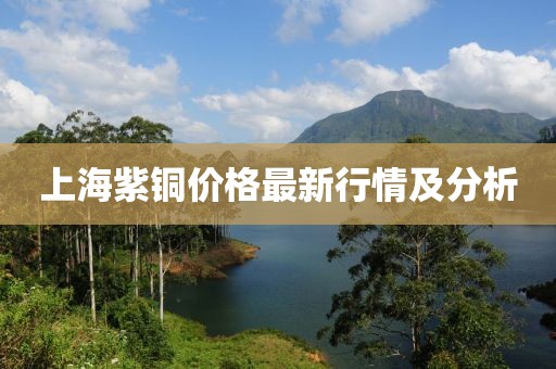 上海紫铜价格最新行情及分析
