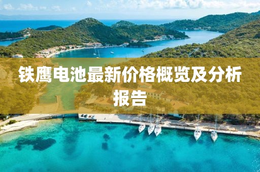 铁鹰电池最新价格概览及分析报告