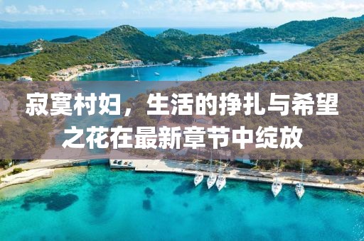 寂寞村妇，生活的挣扎与希望之花在最新章节中绽放