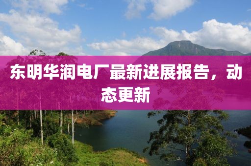 东明华润电厂最新进展报告，动态更新