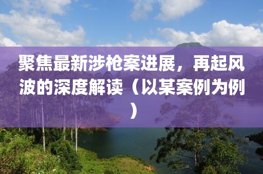 聚焦最新涉枪案进展，再起风波的深度解读（以某案例为例）