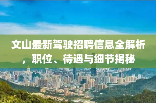 文山最新驾驶招聘信息全解析，职位、待遇与细节揭秘