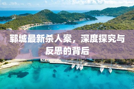 郓城最新杀人案，深度探究与反思的背后