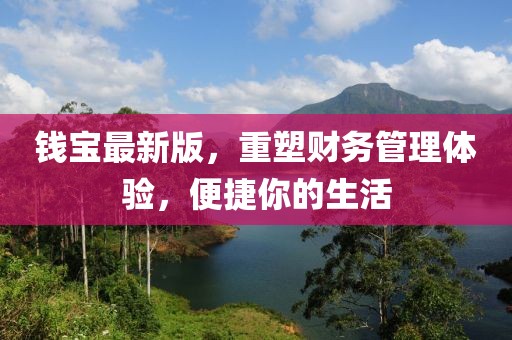 钱宝最新版，重塑财务管理体验，便捷你的生活