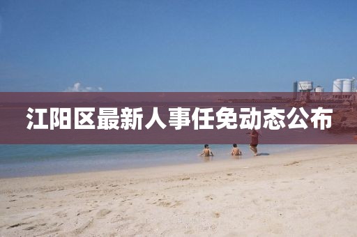 天天开好彩大全 第4页