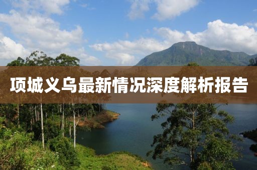 项城义乌最新情况深度解析报告