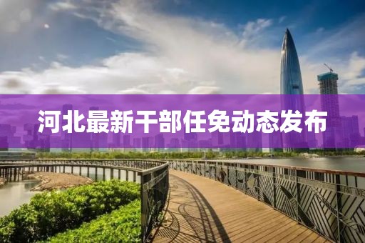 河北最新干部任免动态发布