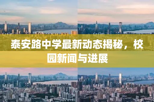 泰安路中学最新动态揭秘，校园新闻与进展