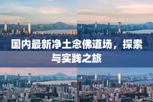 国内最新净土念佛道场，探索与实践之旅