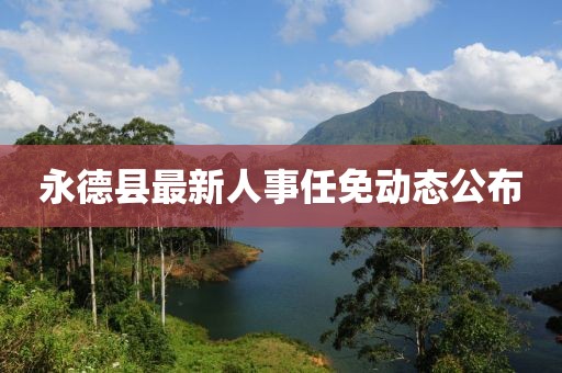 永德县最新人事任免动态公布