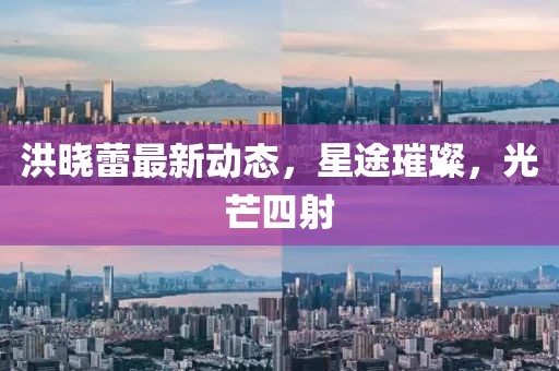 洪晓蕾最新动态，星途璀璨，光芒四射