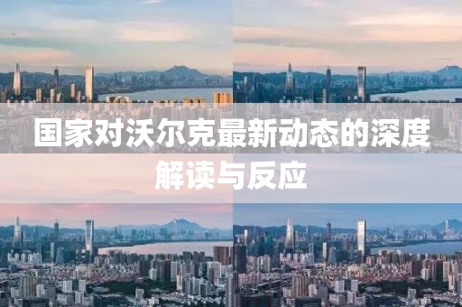 国家对沃尔克最新动态的深度解读与反应