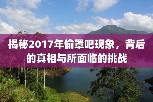揭秘2017年偷罩吧现象，背后的真相与所面临的挑战