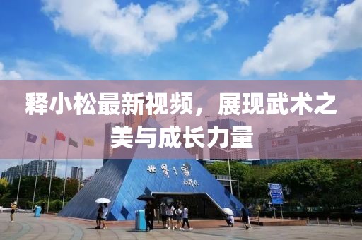 释小松最新视频，展现武术之美与成长力量