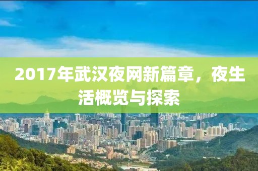 2017年武汉夜网新篇章，夜生活概览与探索